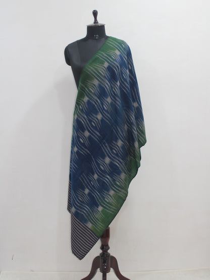 Handwoven Ikat Pure Pashmina Stole / Scarf